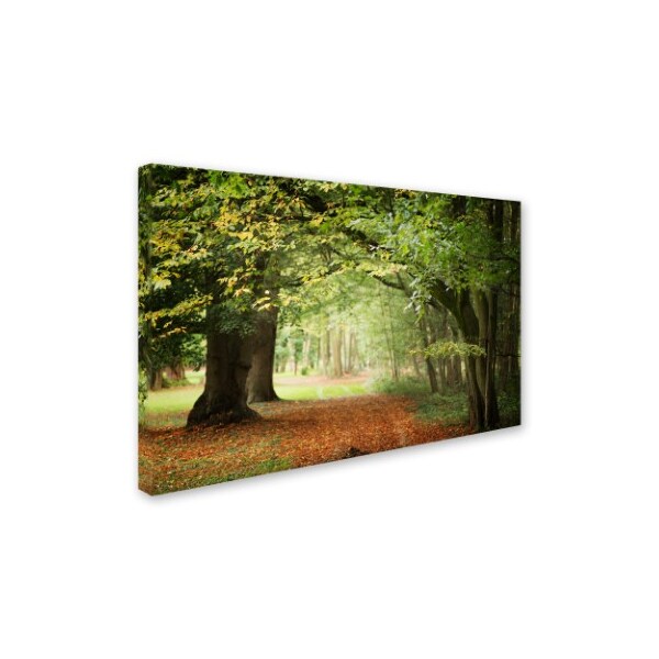 Philippe Sainte-Laudy 'Through The Woods' Canvas Art,16x24